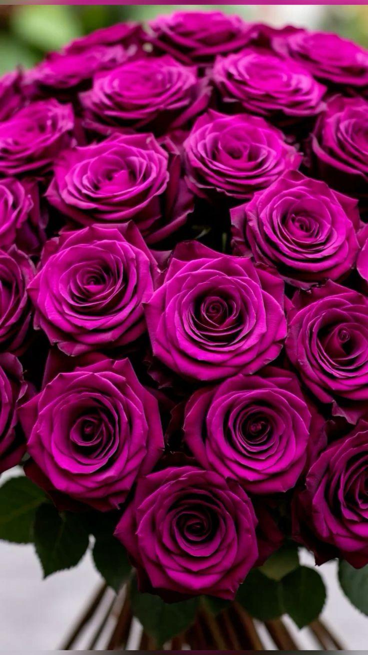 Bright Tone Matrix workshop space where corporate flower arrangements are designed and prepared for business delivery